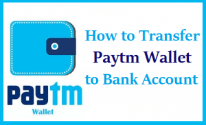 send paytm cash to bank account
