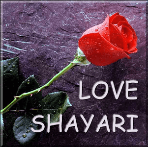 hindi-love-shayari